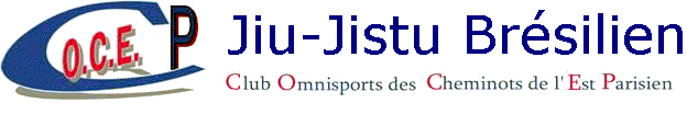 Jiu-Jistu Brsilien